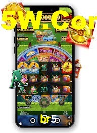Premium Interface br5